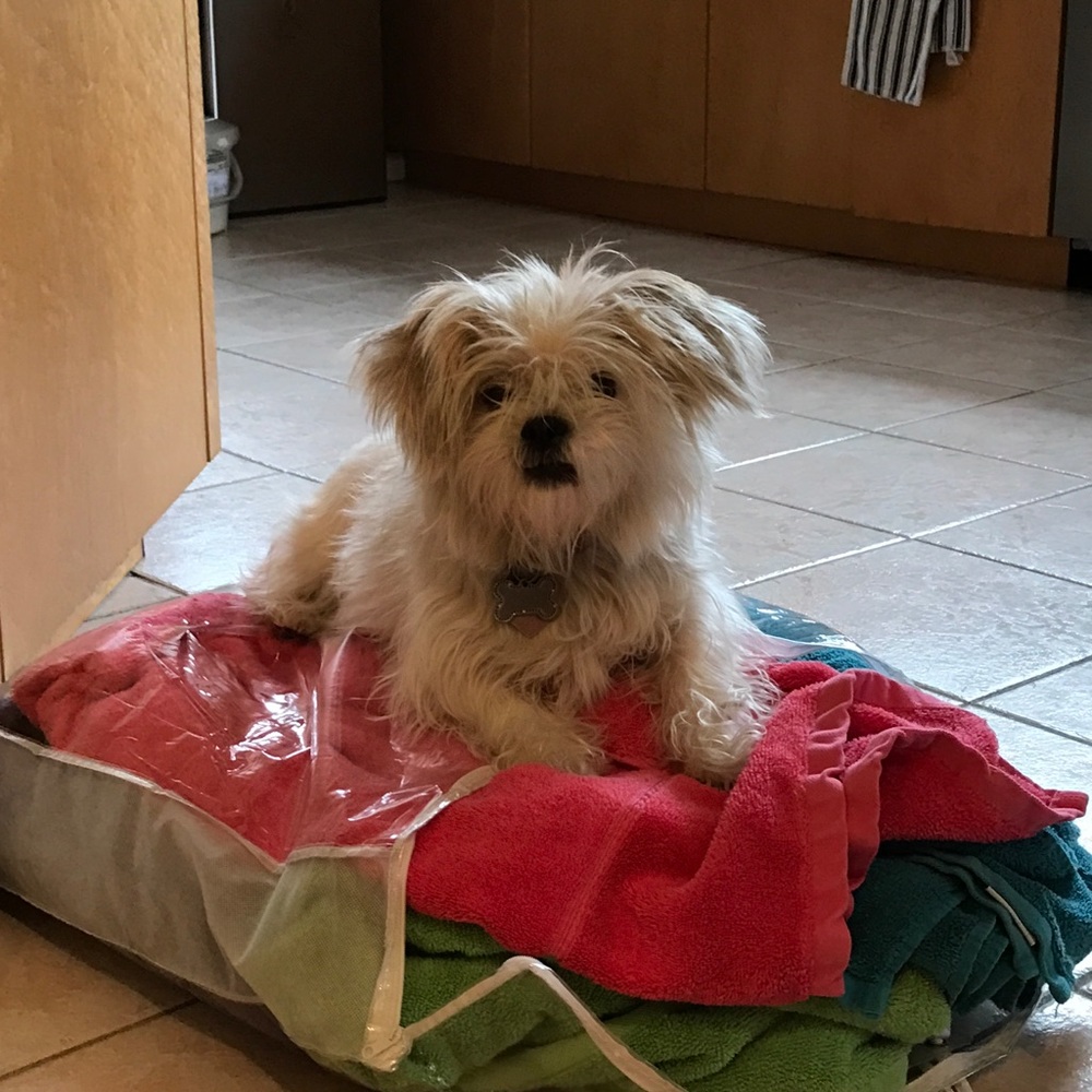 Meet your Posher, Maryam